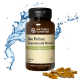 Бджолиний Пилок (Bee Pollen) 100 капс. NSP