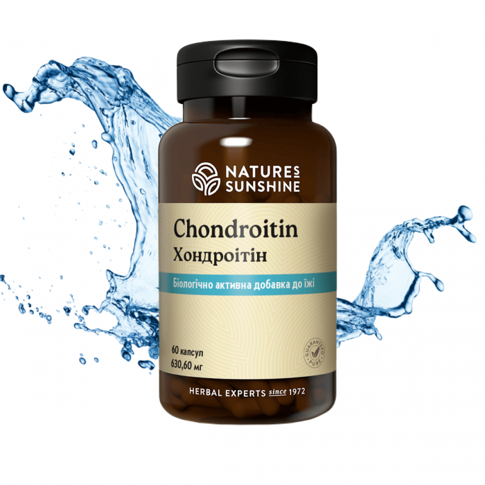 Хондроітин (Chondroitin) 60 капс. NSP