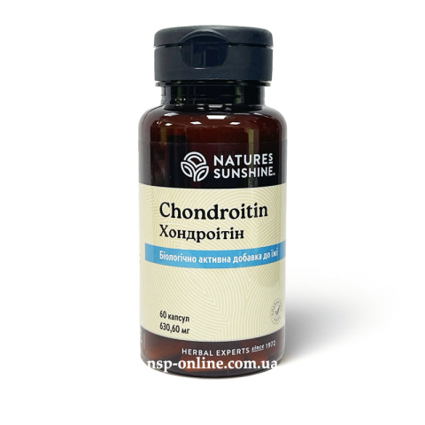 Хондроітин (Chondroitin) 60 капс. NSP