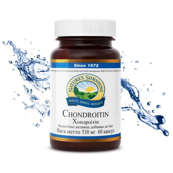 Хондроитин (Chondroitin) 60 капс. NSP