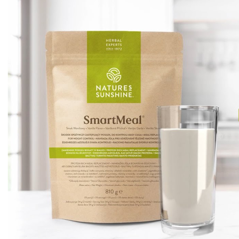 СмартМил / Ванильный коктейль (SmartMeal / Vanila Shake) 810 г NSP